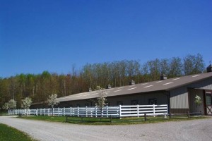 An easy barn to manage, friendly for horses !