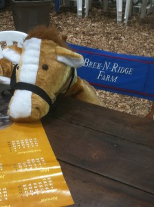 We are waiting to see you all soon at our horse show and for your lessons-we are really excited to see you!